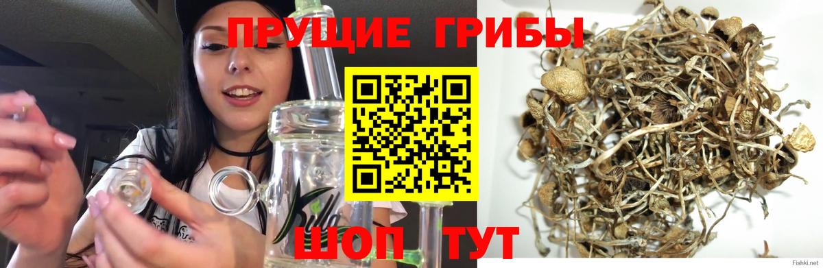 Галлюциногенные грибы мухоморы Ликино-Дулёво
